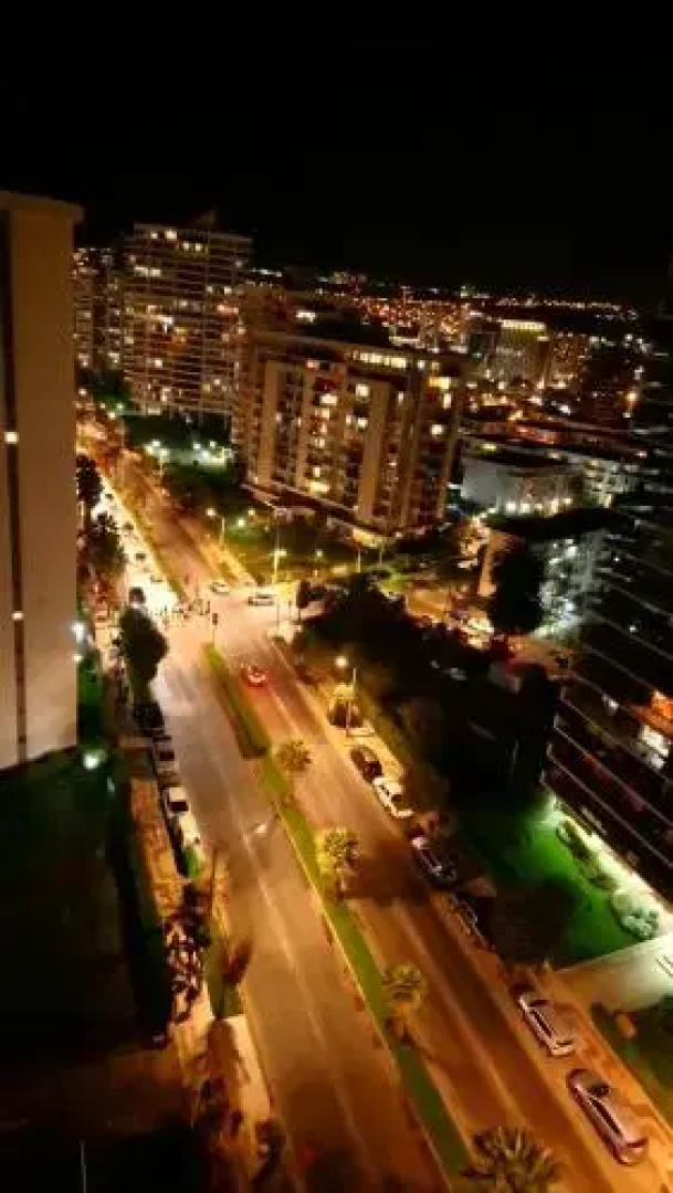 Above Acapulco Beach