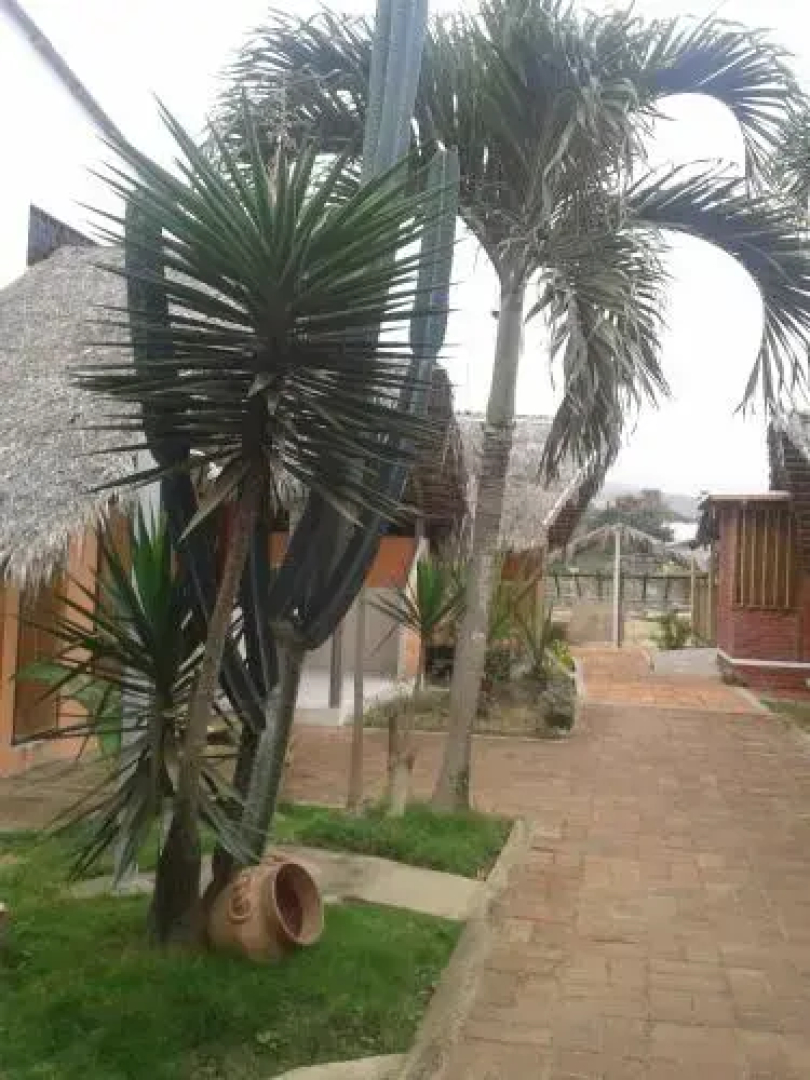 Cabañas Playa Sur