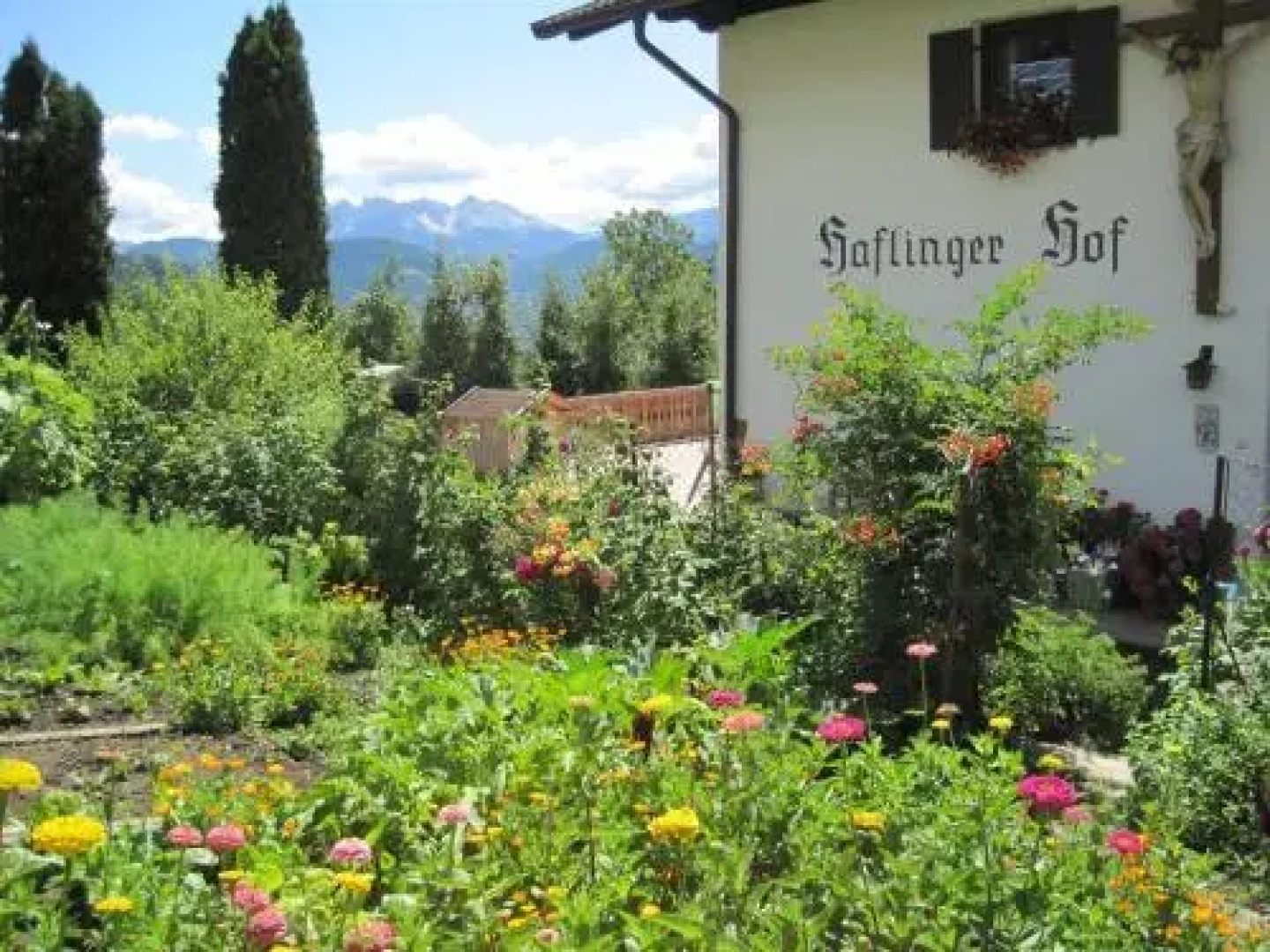 Haflingerhof