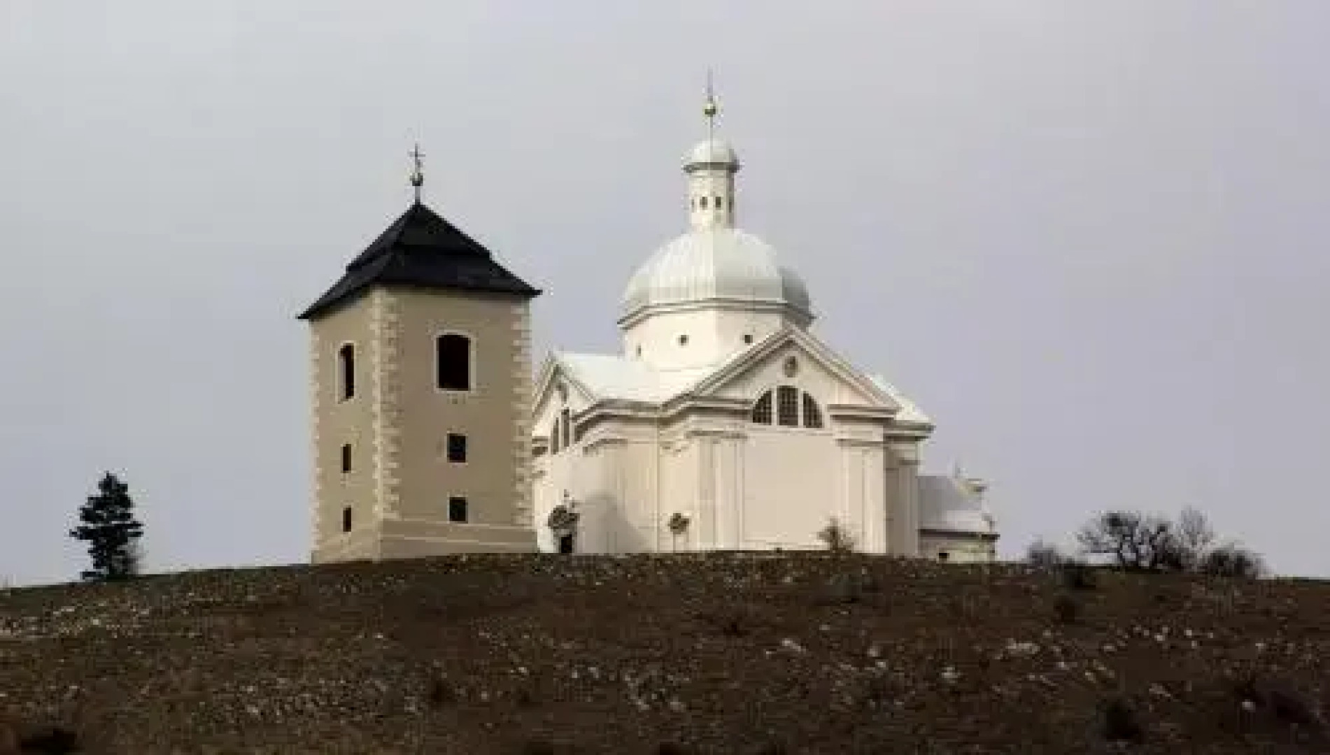 Pension Zelený strom