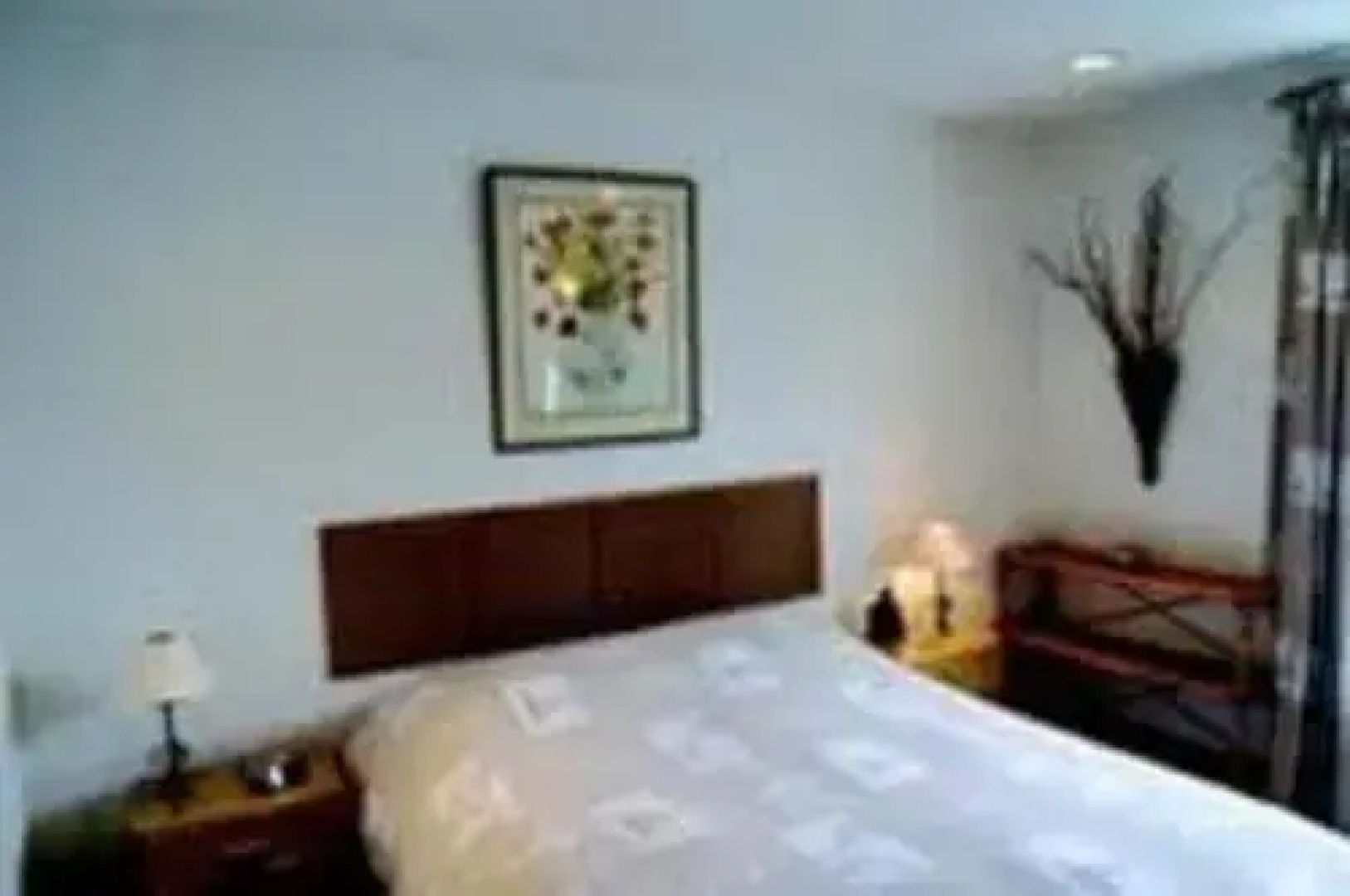 Artizana Suite