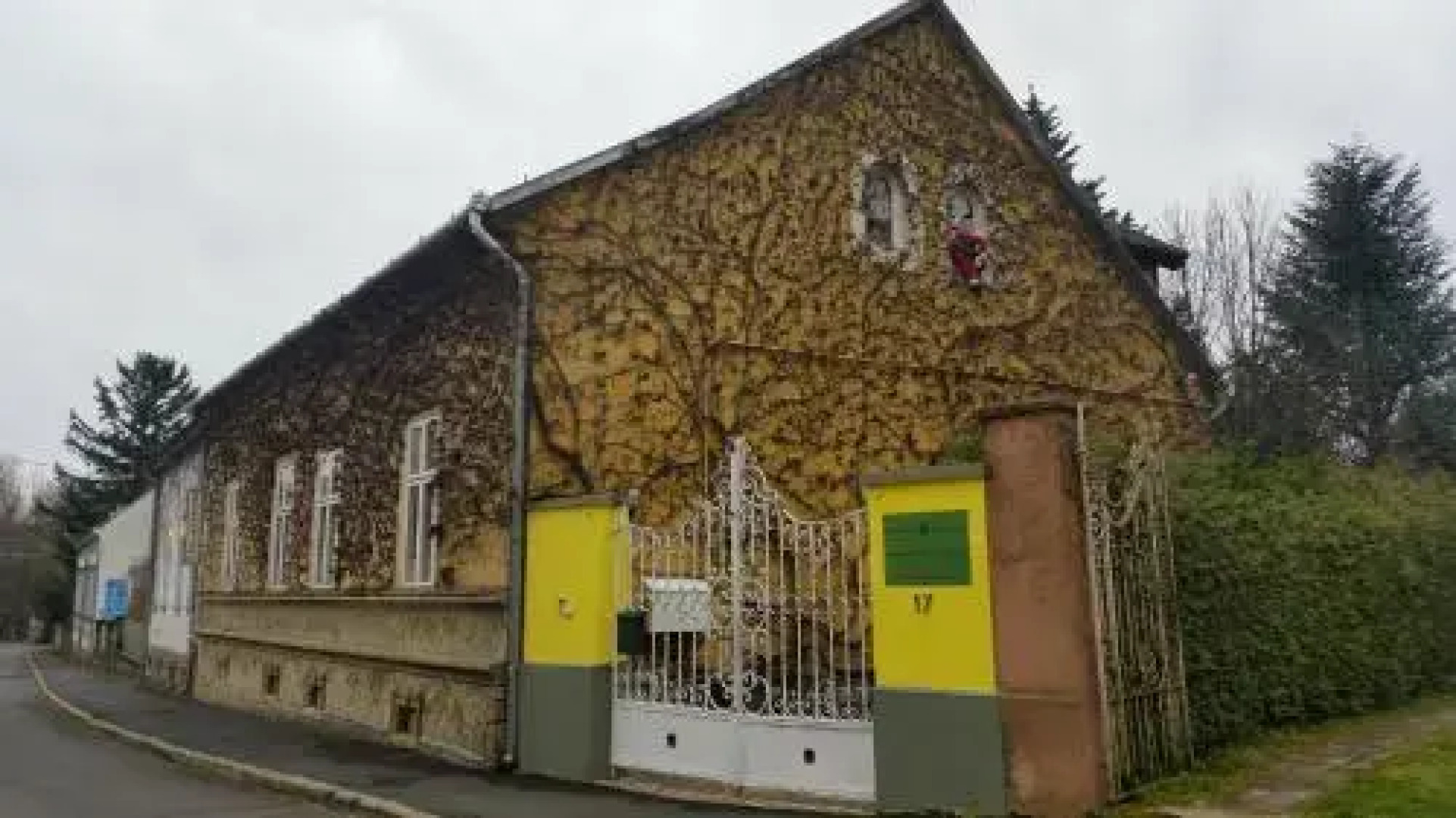 Golden Yacca Vendégház