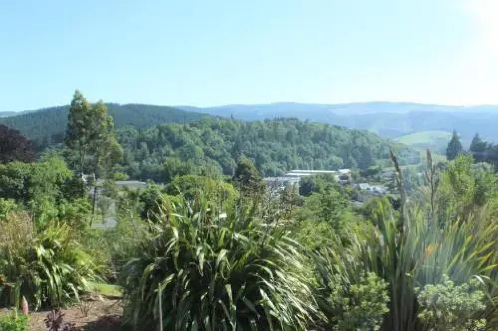 Tonix Boutique Accommodation