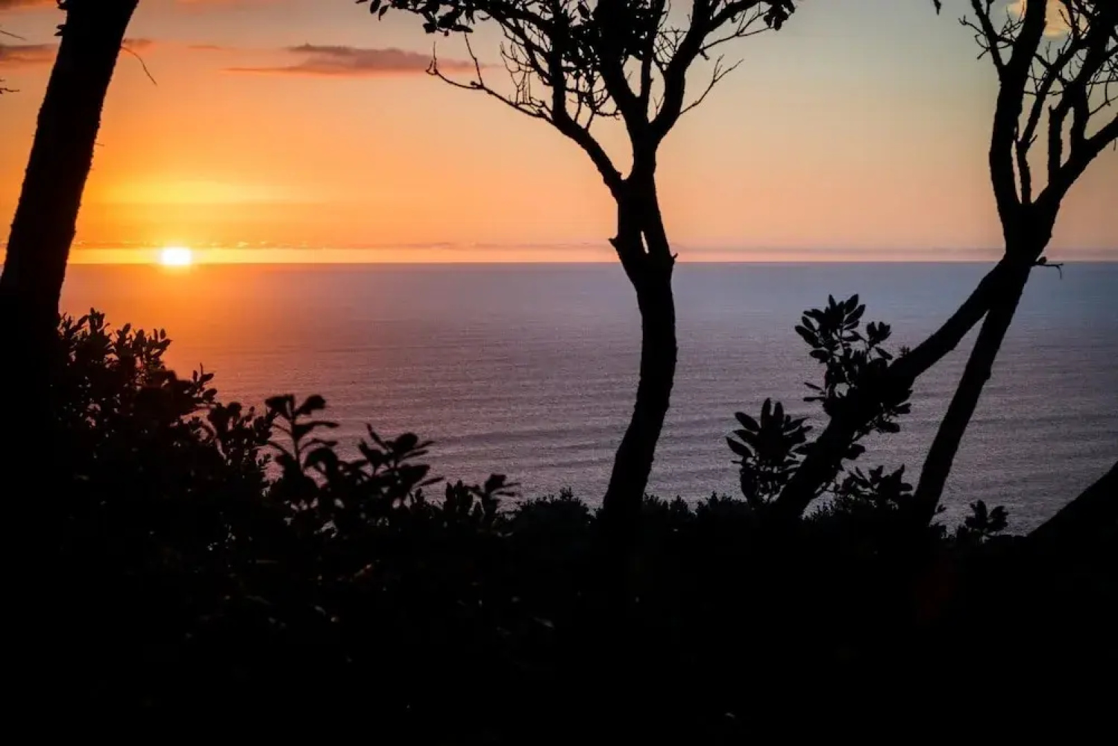 Muriwai Beach Memories