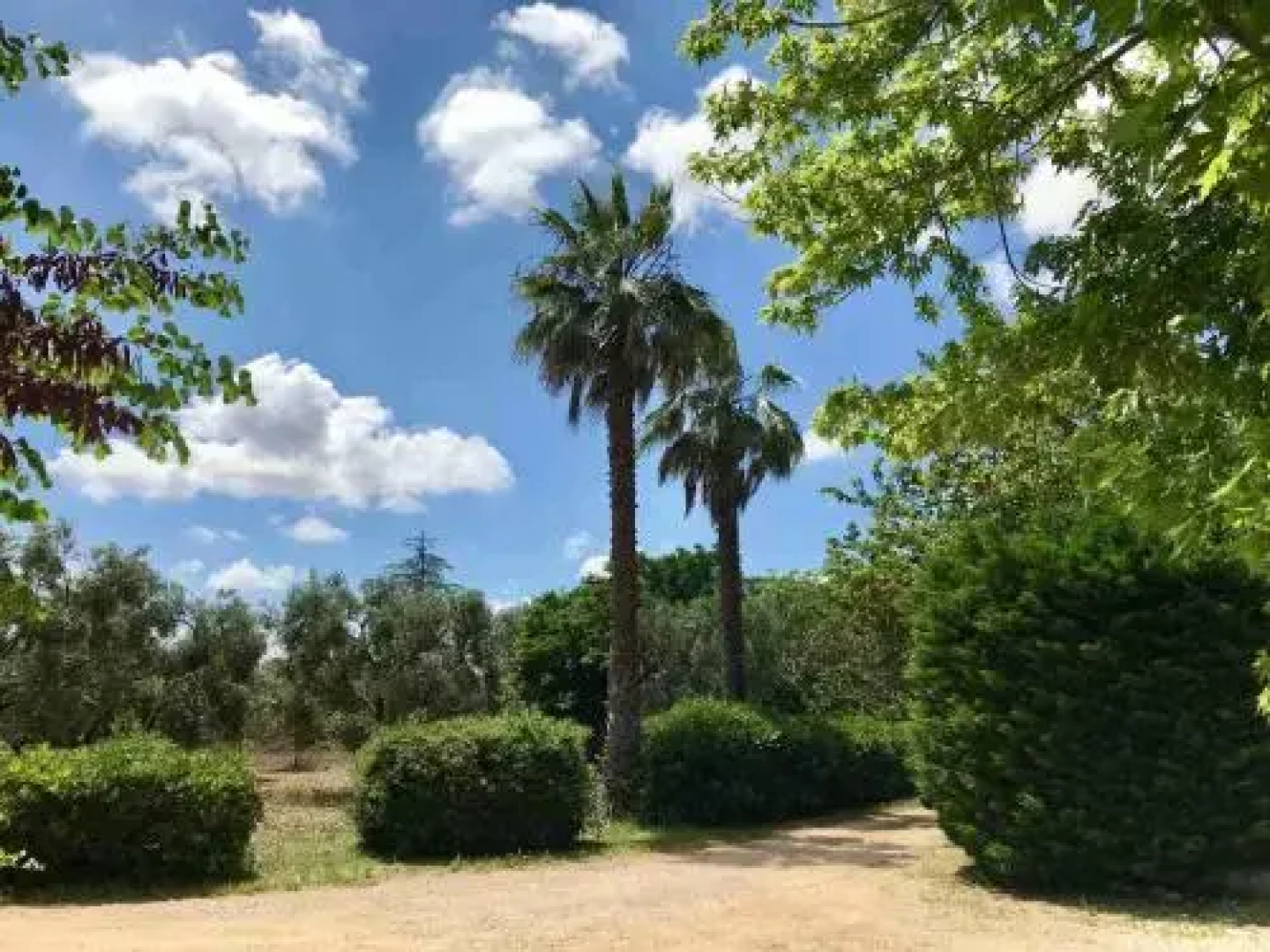 Tenuta Mirabolano