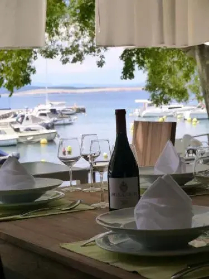 B&B Galija