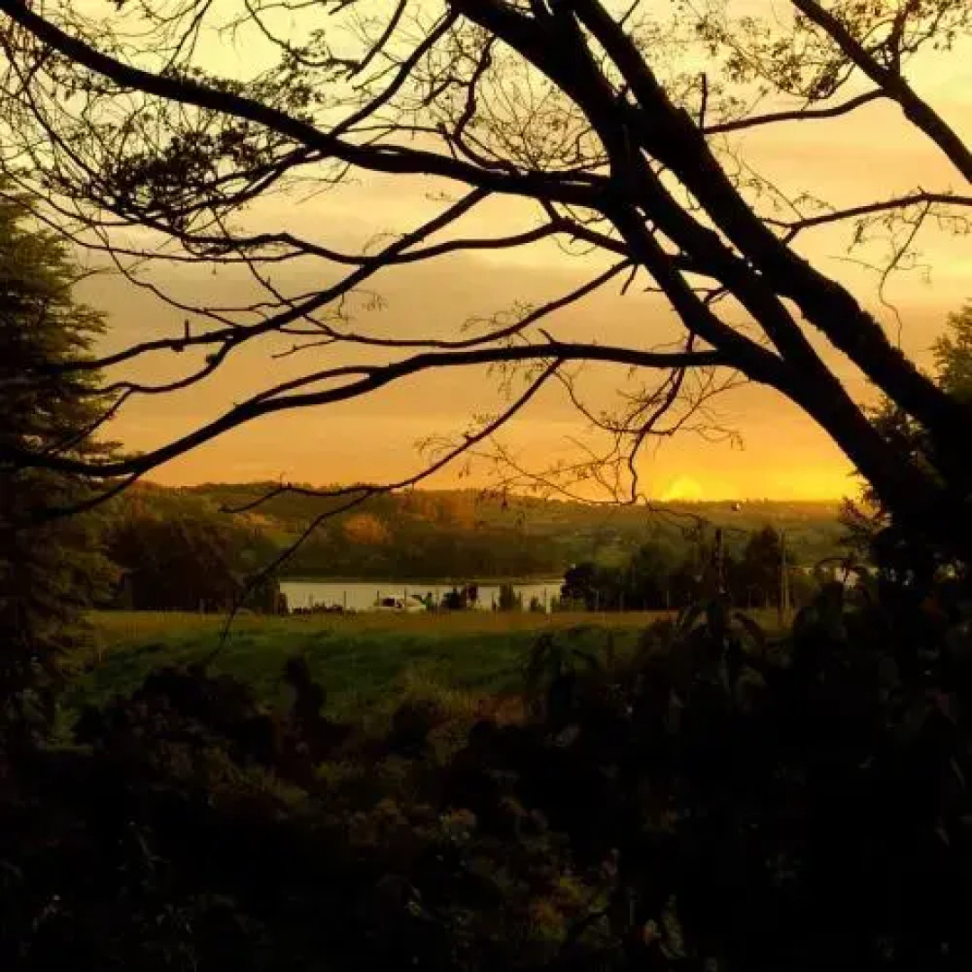 Hostel+Arte Capanegra