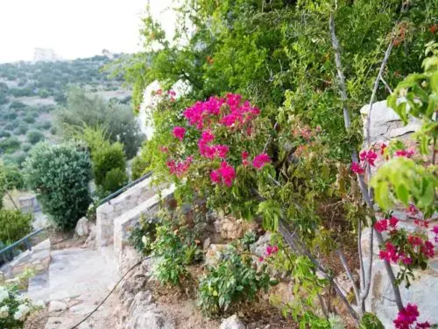 Villa MoonRay