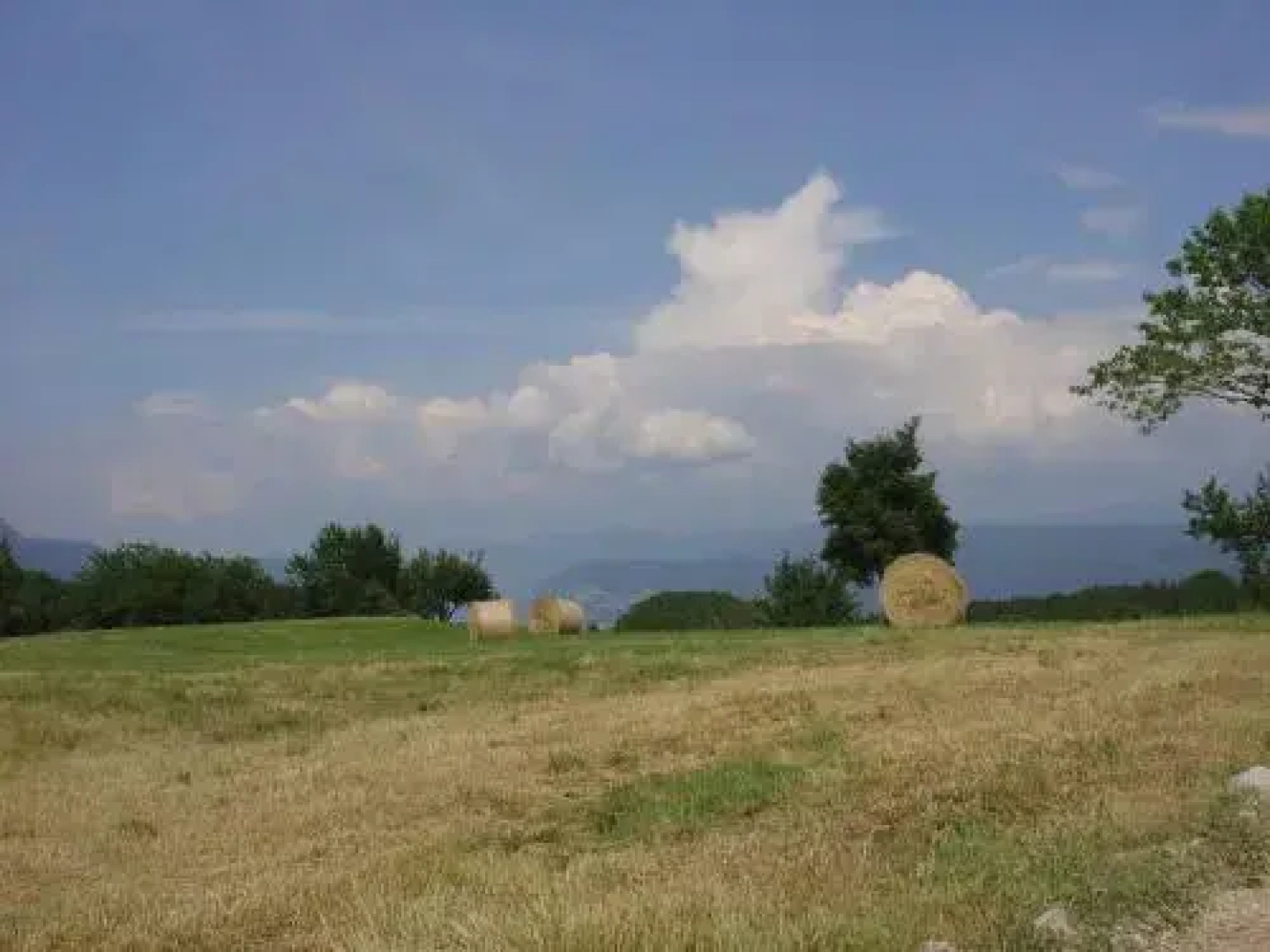 Agriturismo Girasole