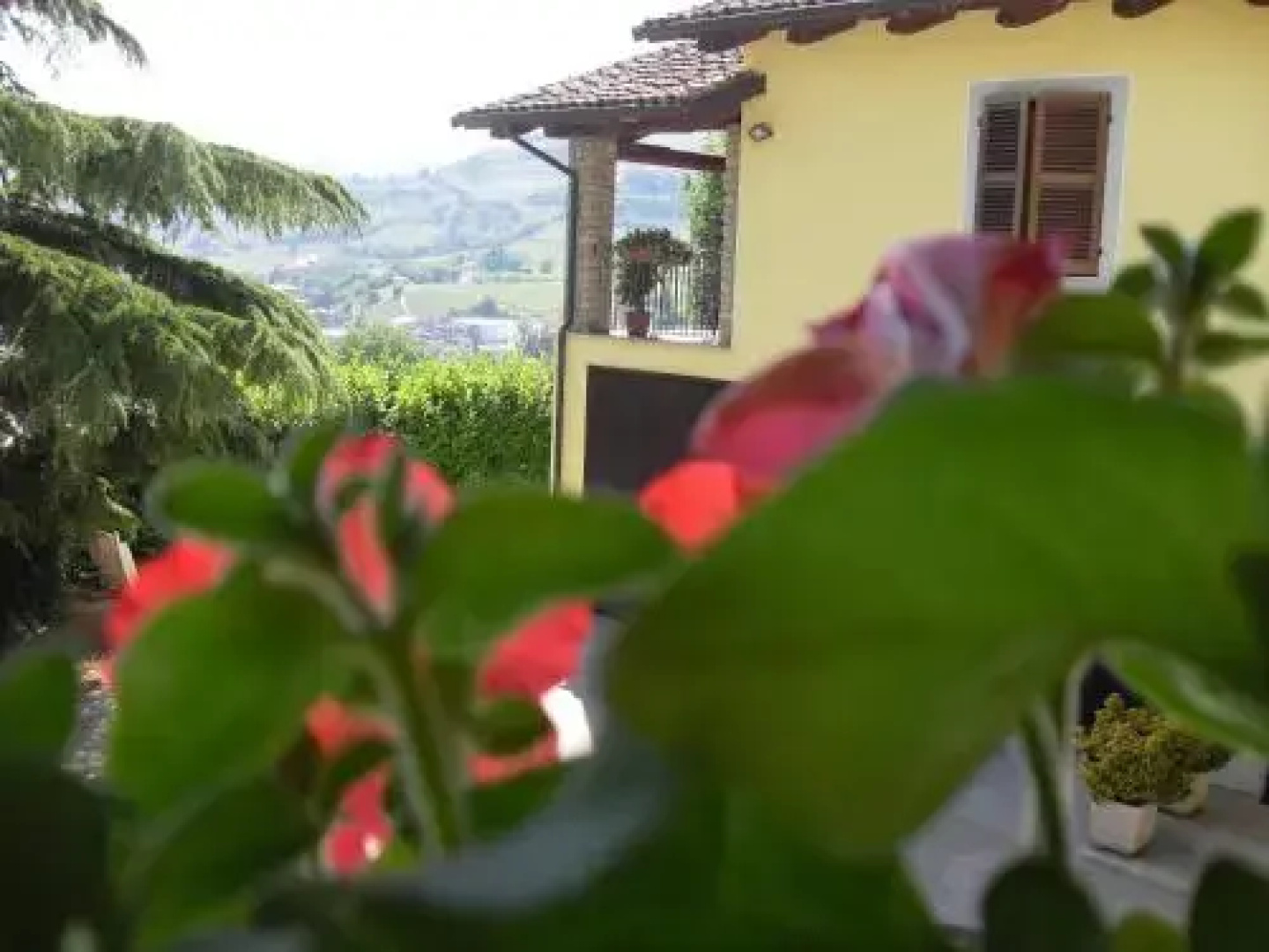 Agriturismo Il Crutin
