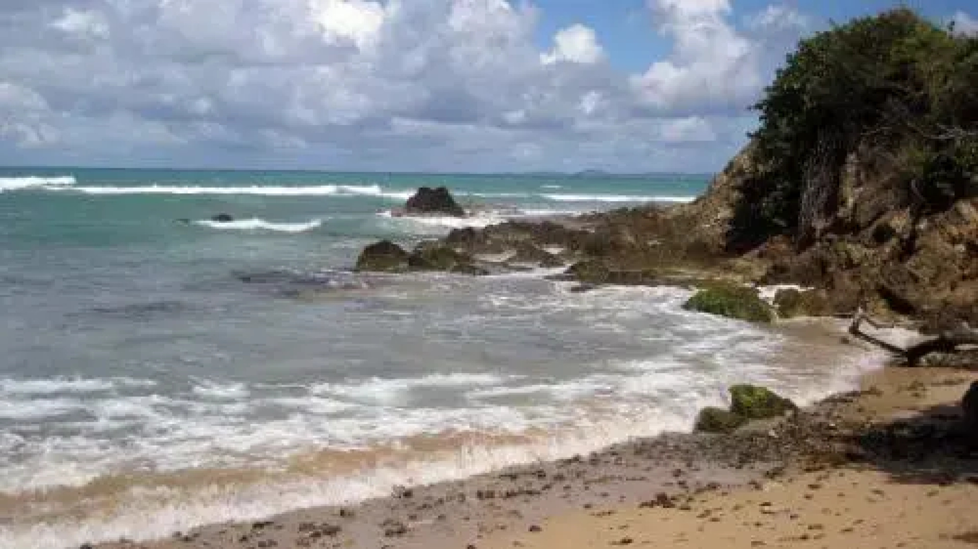 Tranquility by the Sea