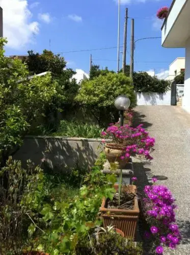 B&B Serena