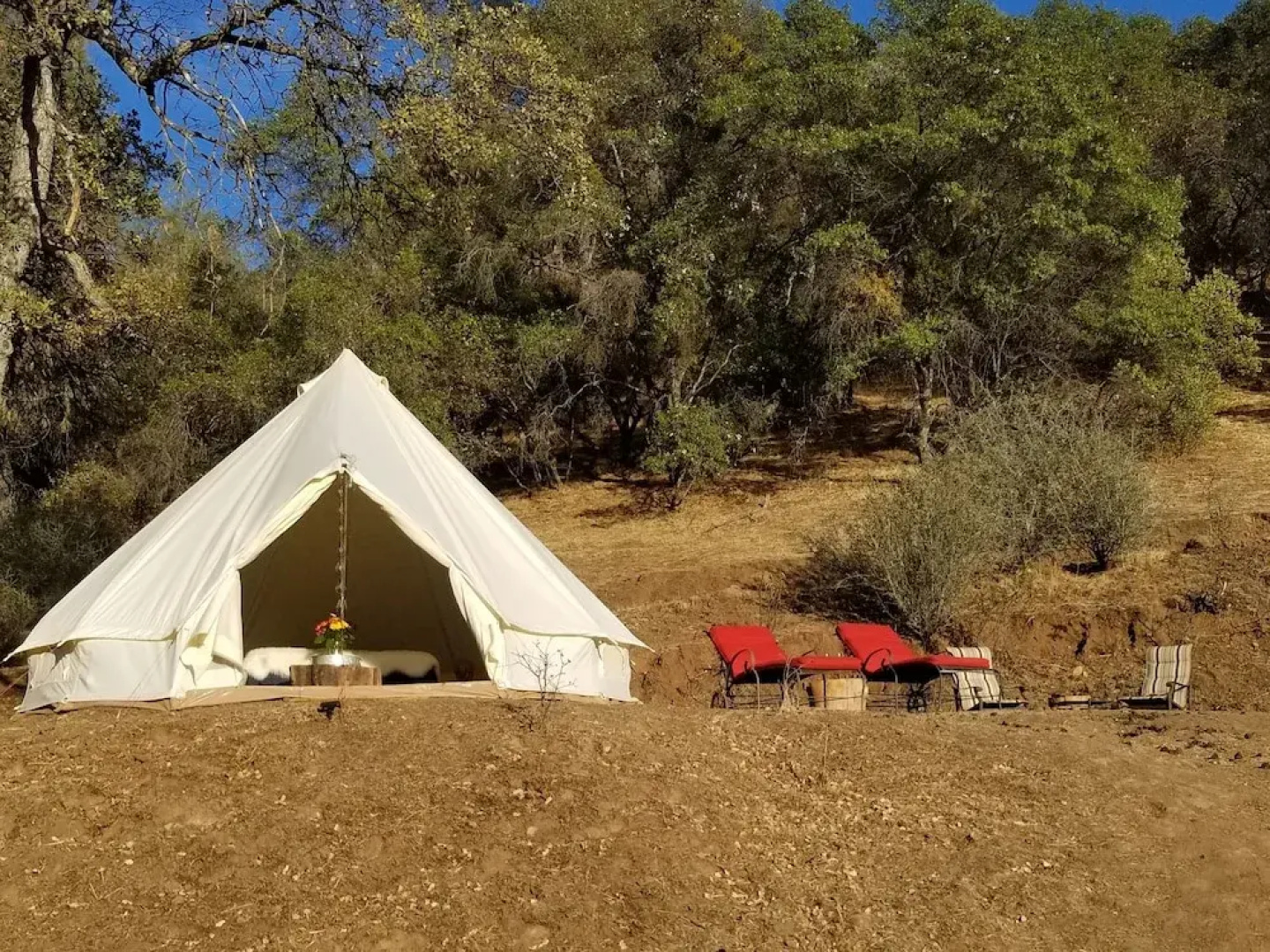 Murphys Glamping