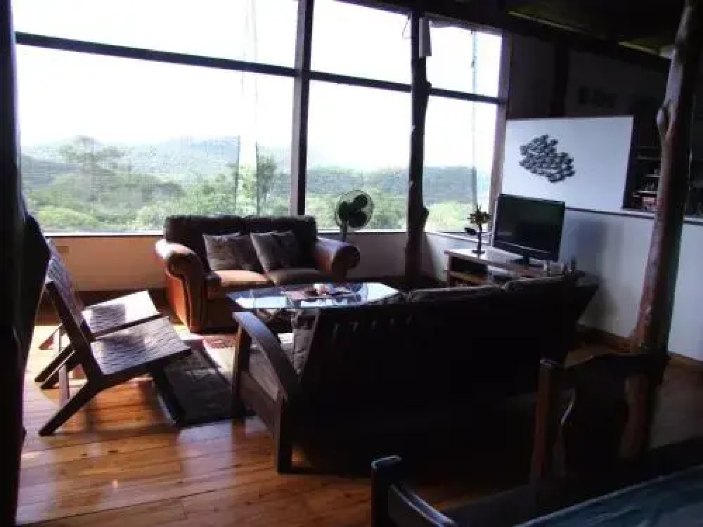 casa arbol