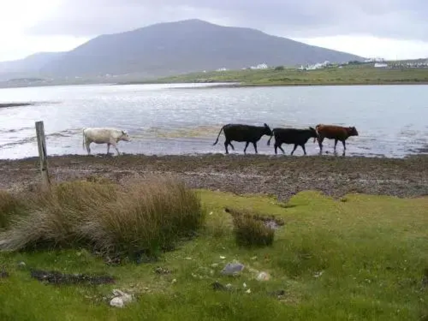 Bleanaskill Lodge & Achill Secret Garden