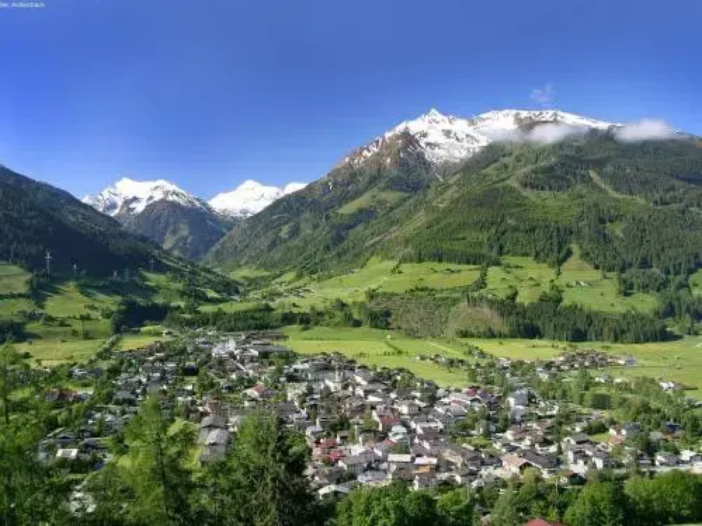 Pihapperblick
