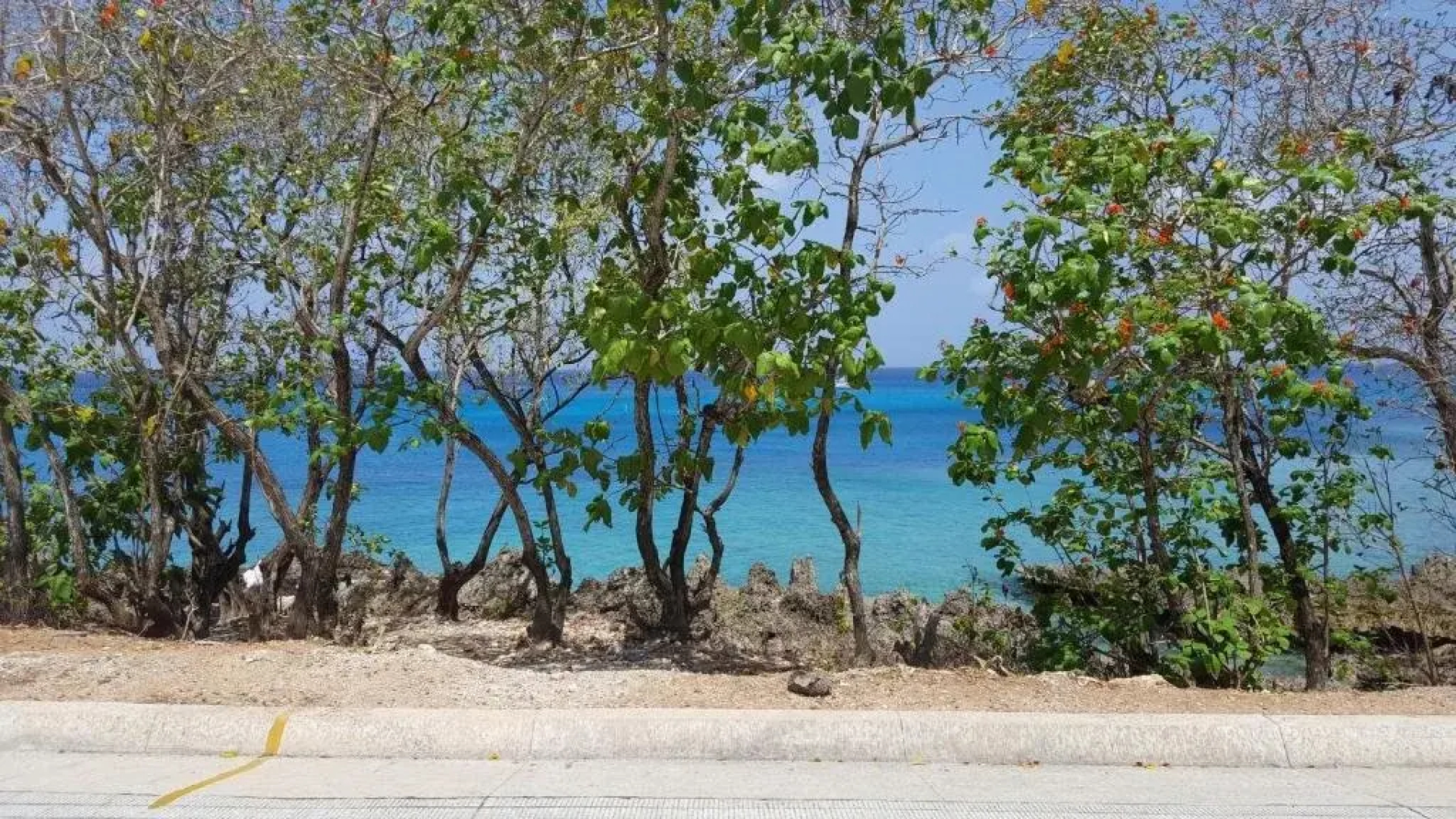 Coral house San Andres