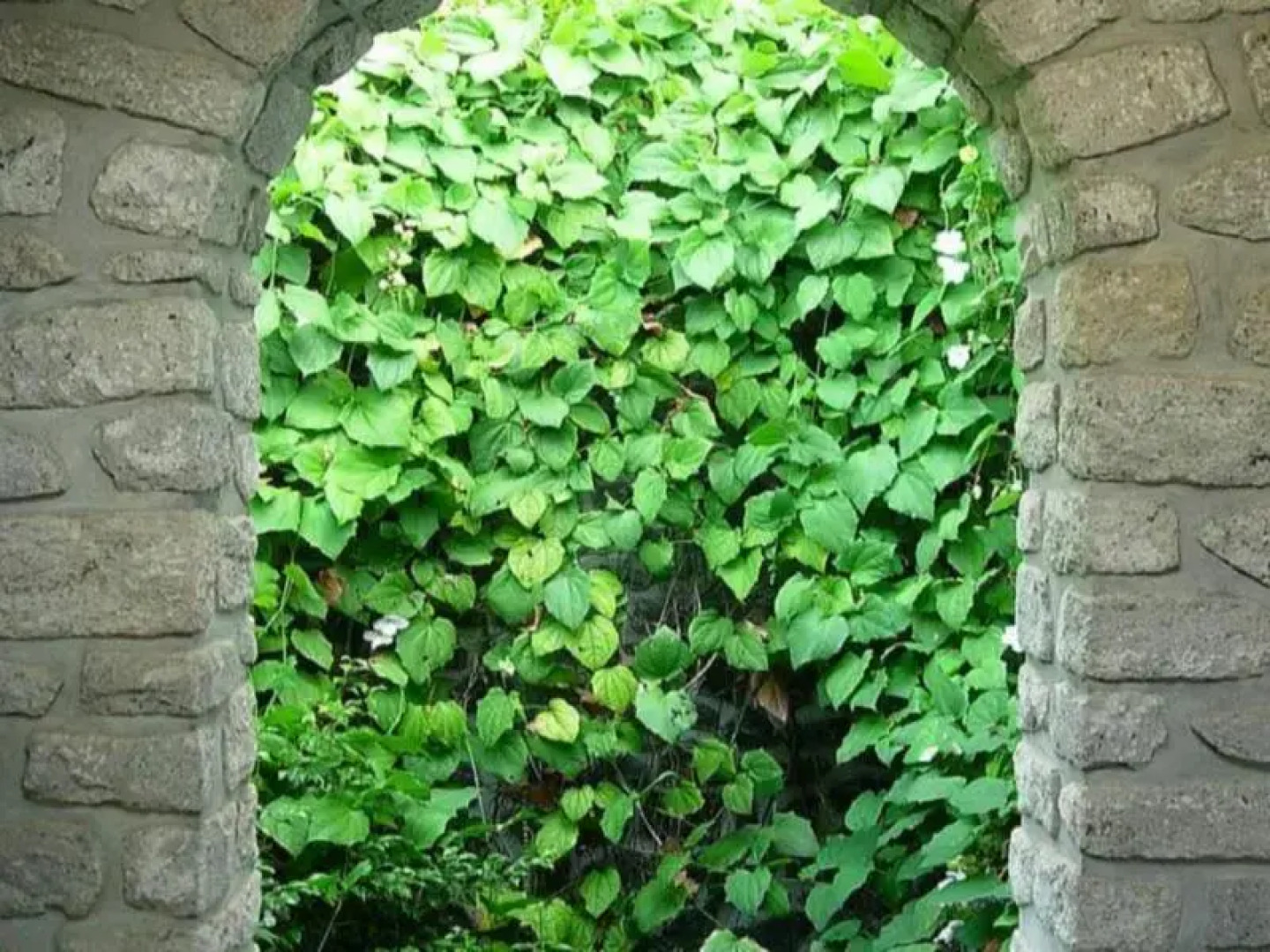 Paradise Gardens Beach Resort