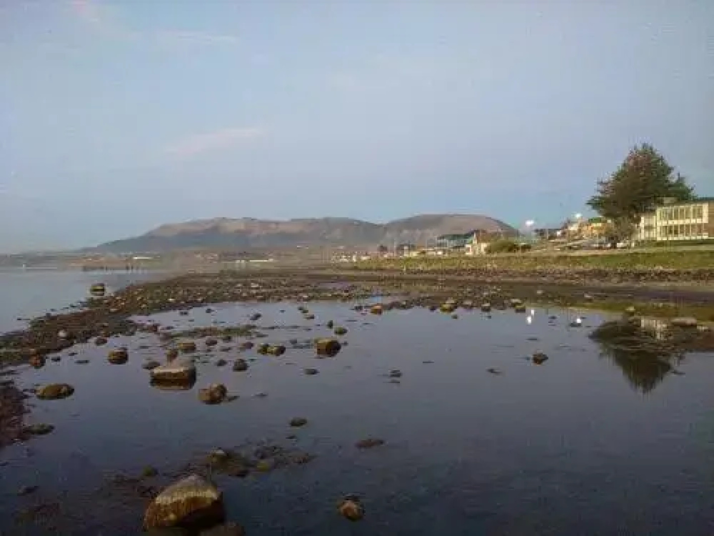 Hostal Guanaco Blanco