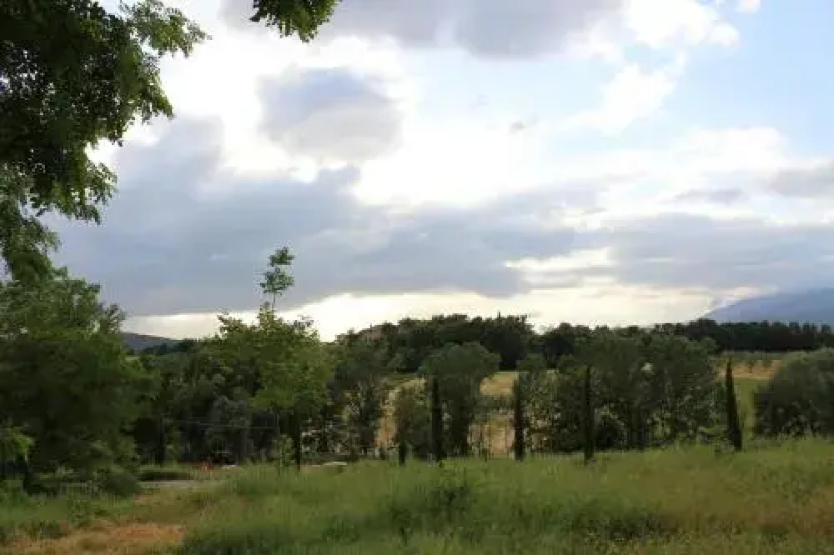 Fattoria Tabarrino