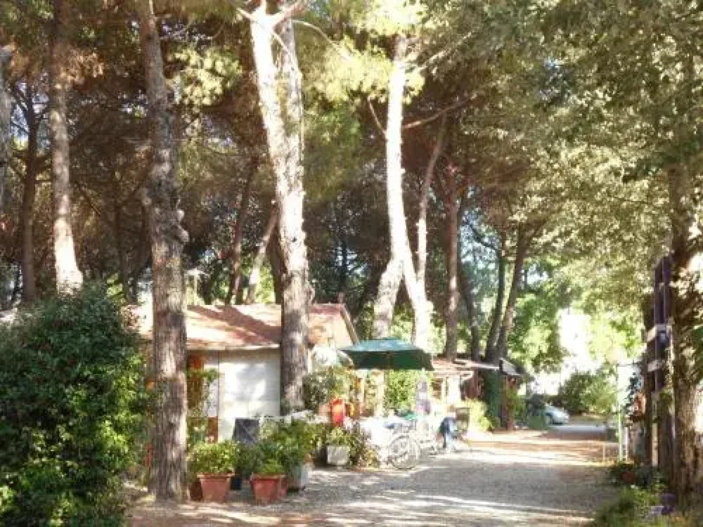 Iron Gate Marina3B