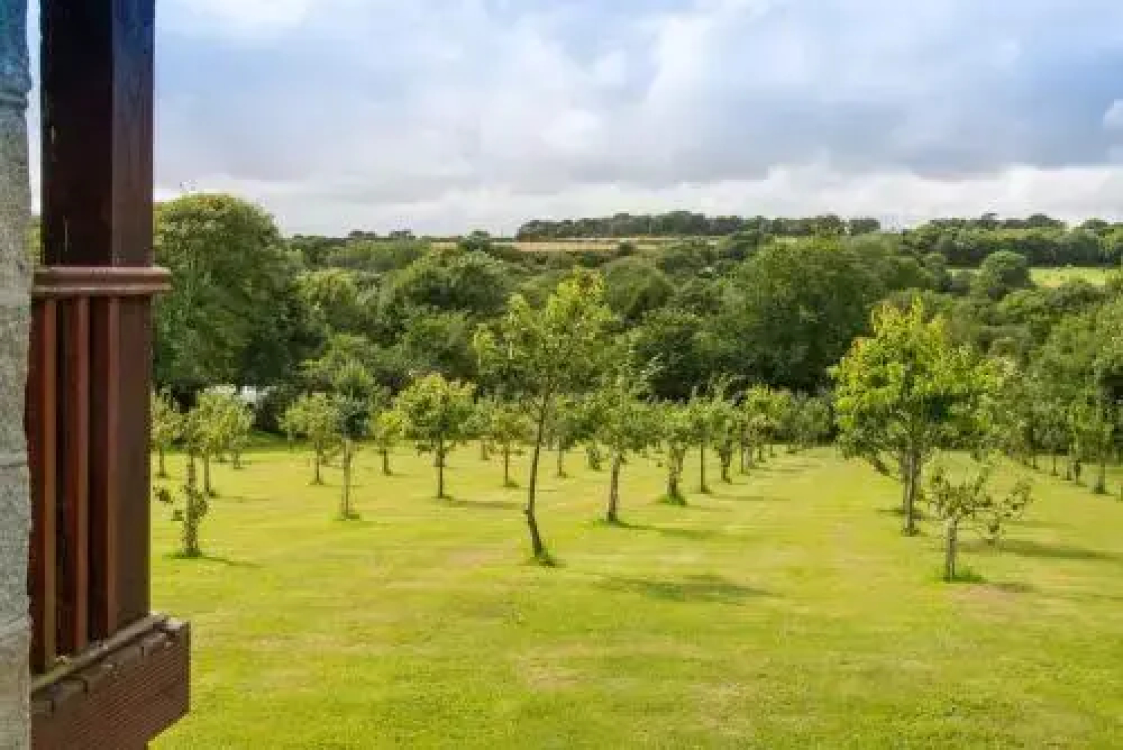 Orchard View