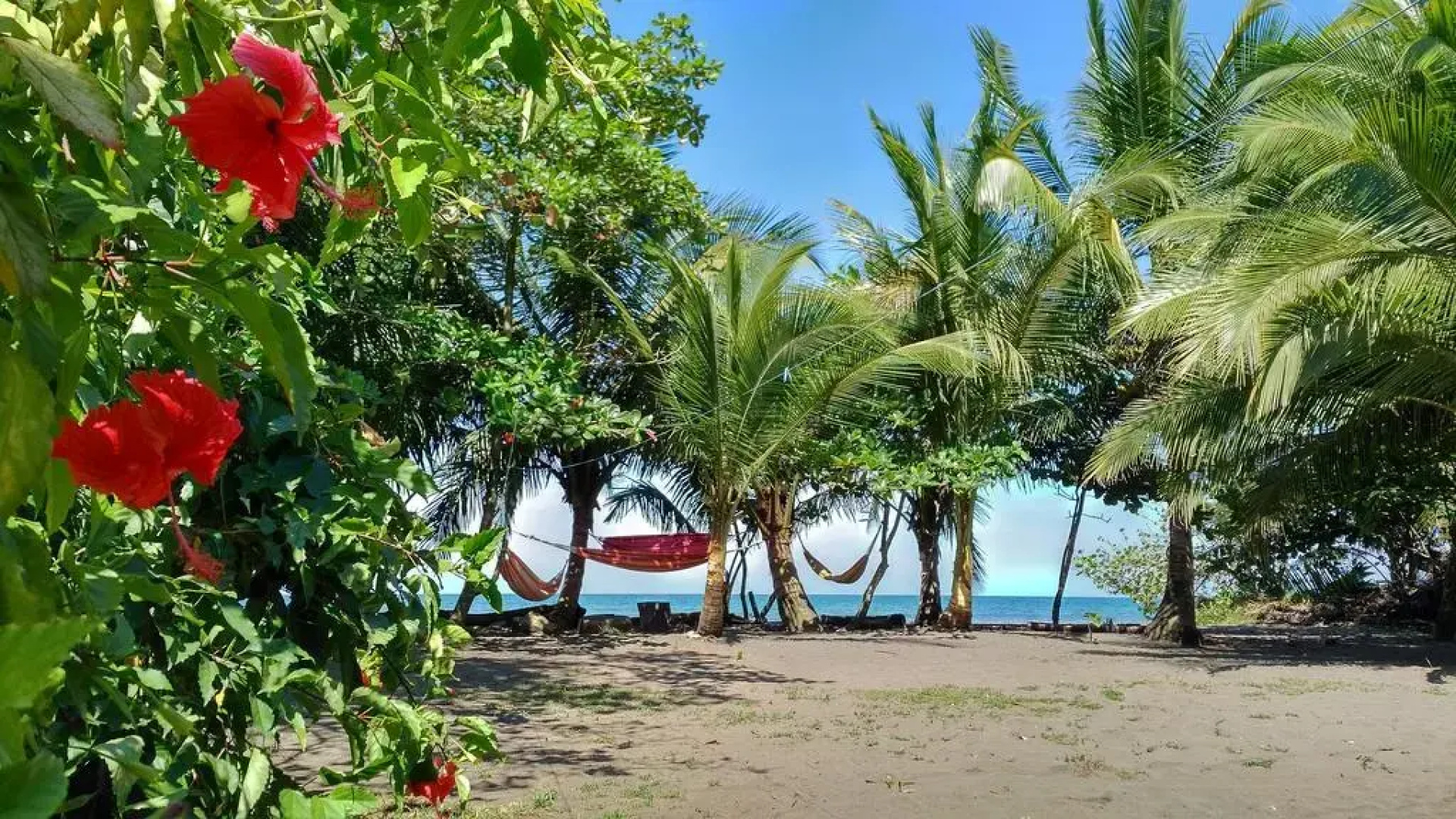 Paisajes del Tortuguero (On The Beach and Town Center)