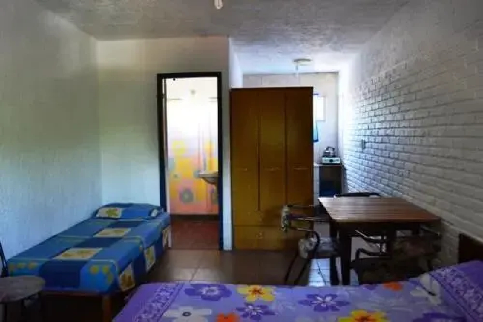 Apartamentos Oyster