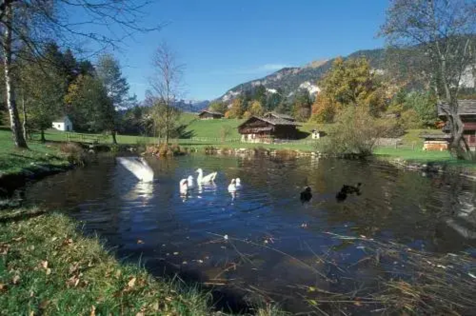 Haus Reintal