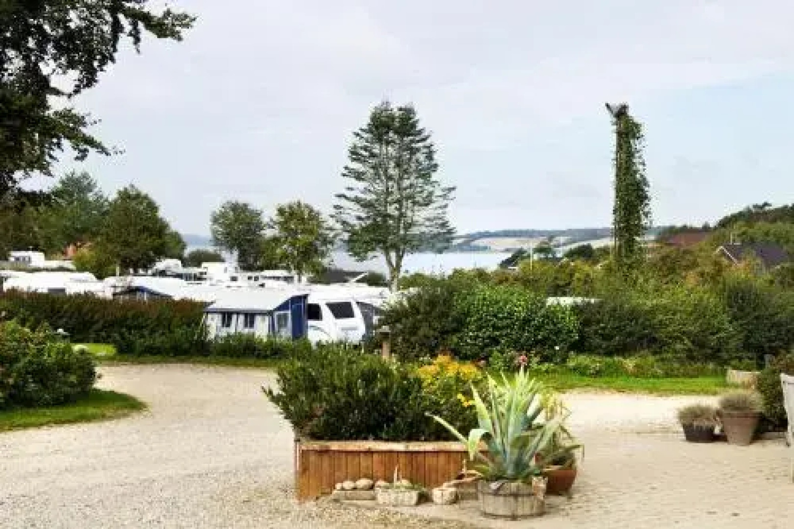 Hjarbæk Fjord Camping & Cottages