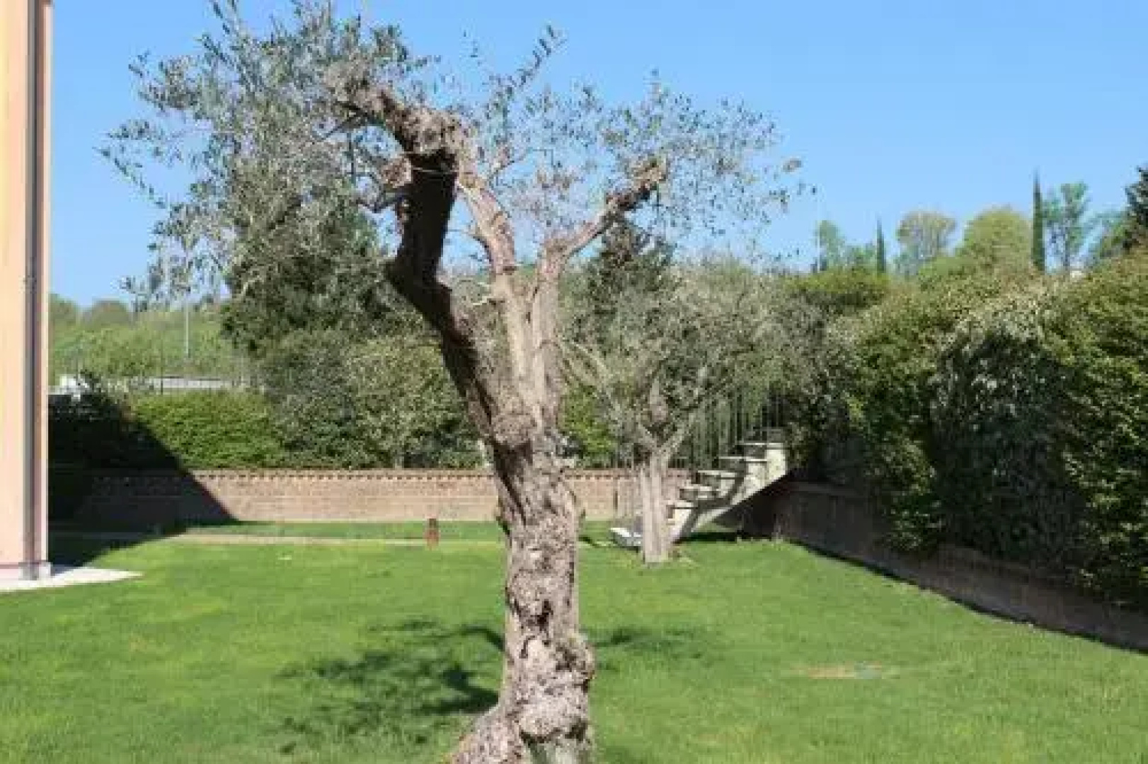 Corte La Guarnigione