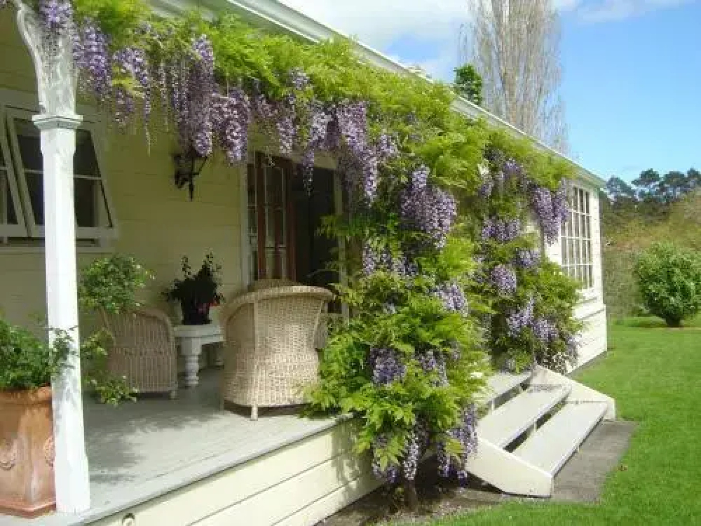 Allambee Cottages
