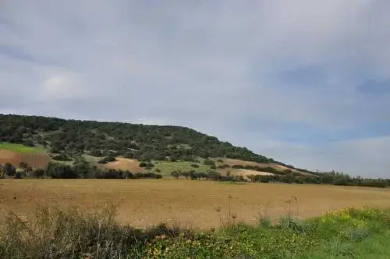 Agriturismo Sa Scalitta