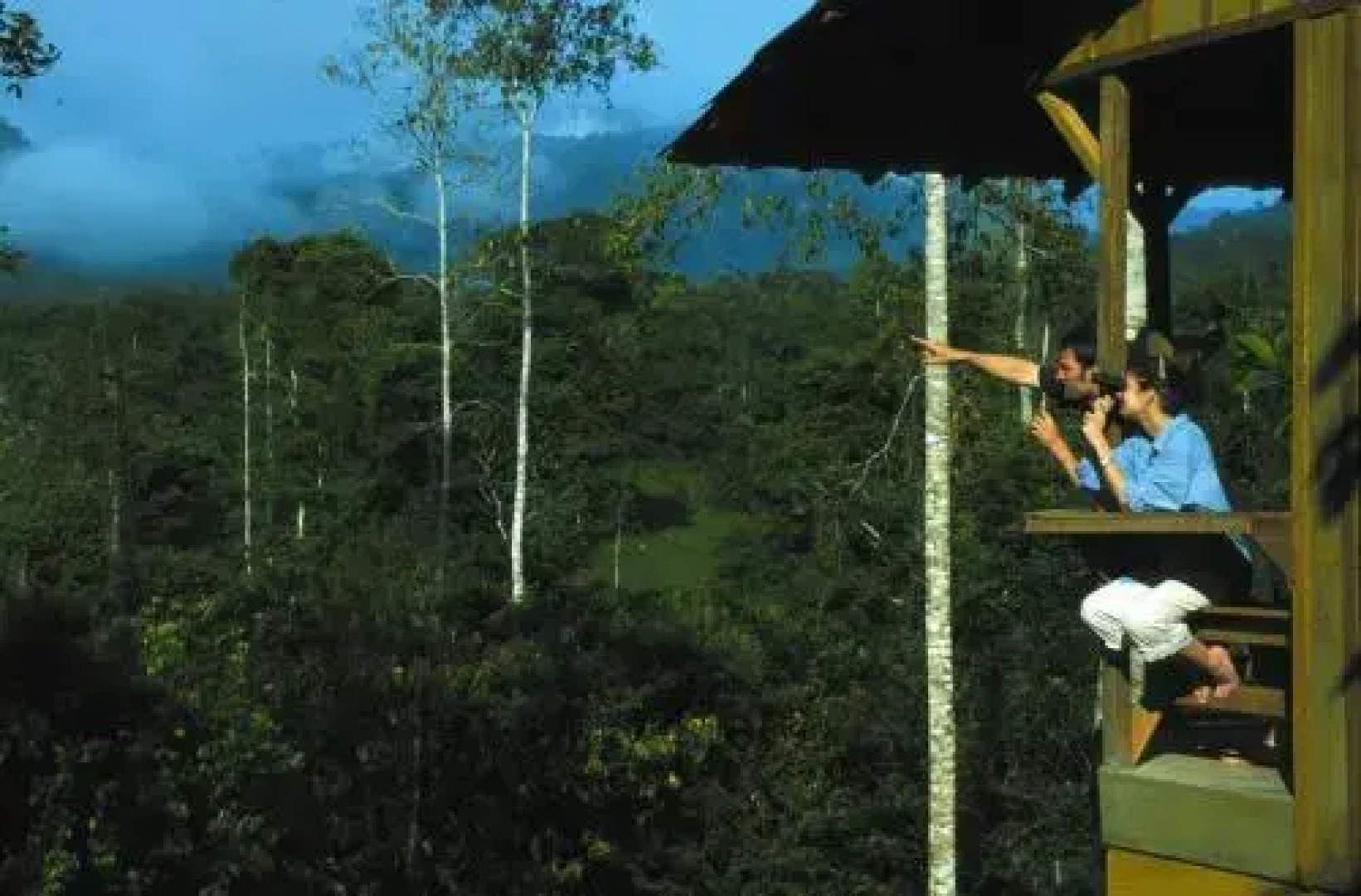 Selva Bananito Lodge