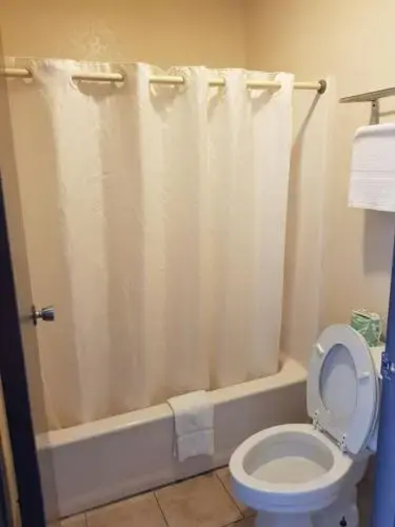 Regency Inn & Suites Bay City