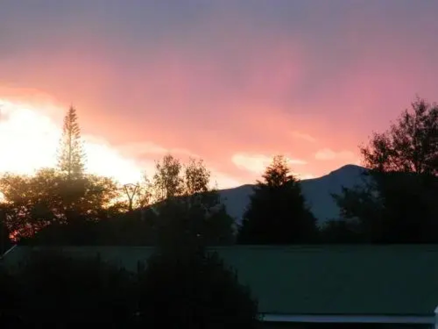 Blue Swallow Chalets