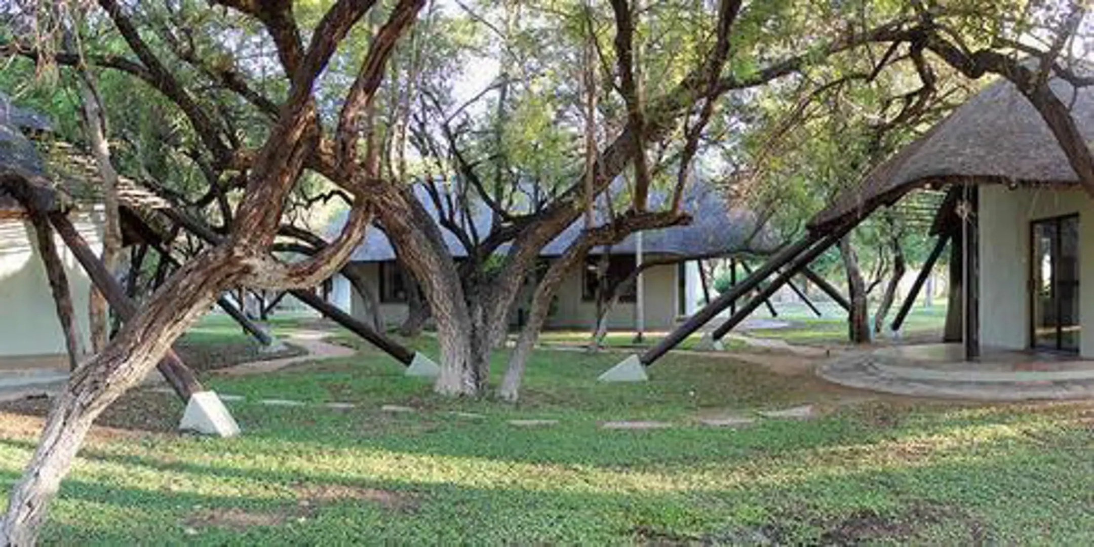 Simbavati Camp George