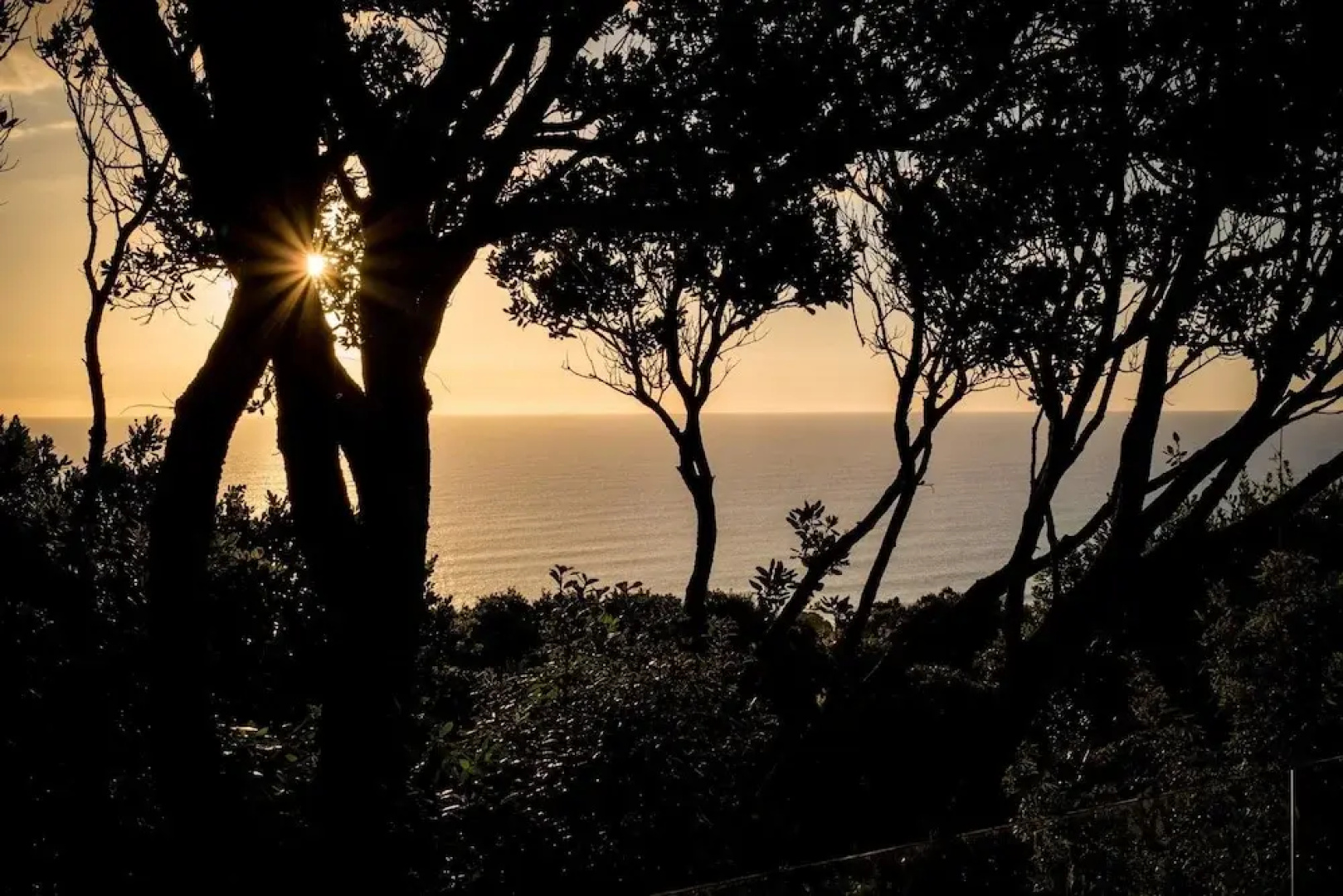 Muriwai Beach Memories