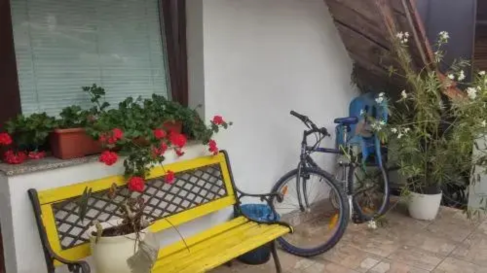 Darja Guesthouse