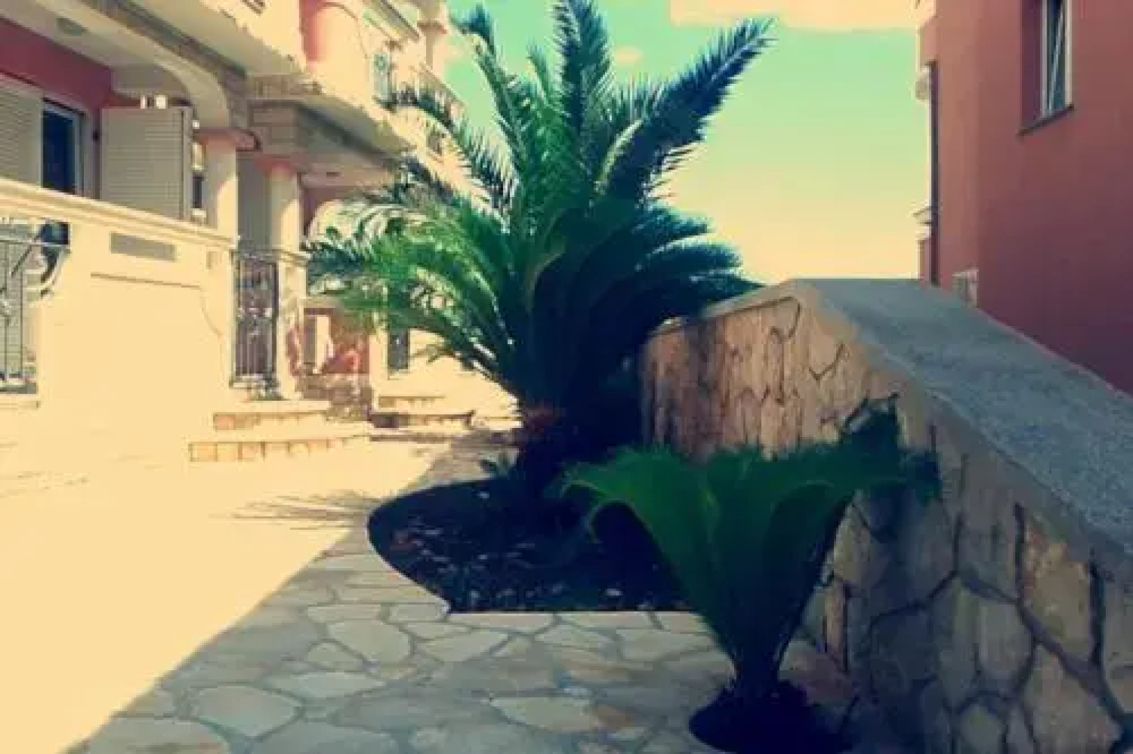 Apartments Roxsi