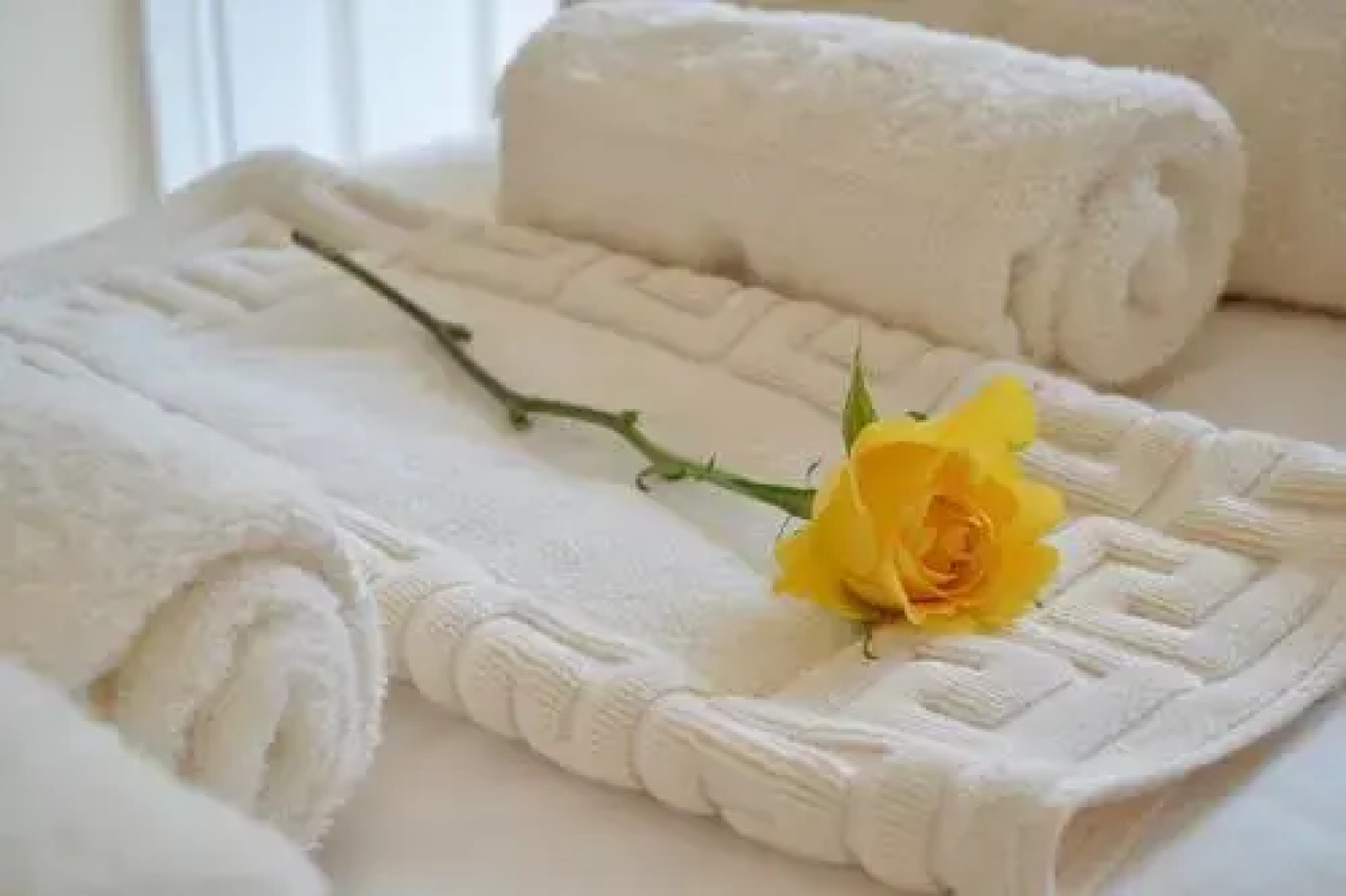 White Rose Guest House