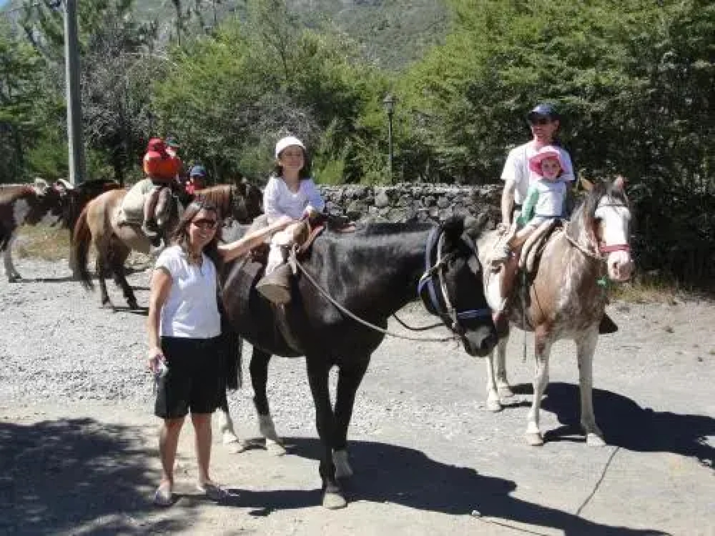 Cabañas Las Cabras