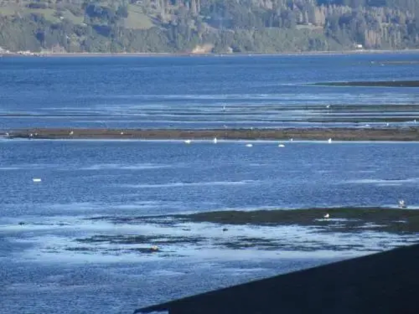 Palafitos Emilio y Ester