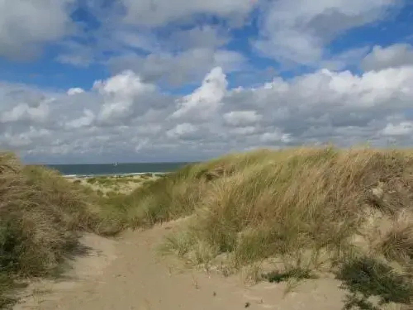 Studio Noordzee