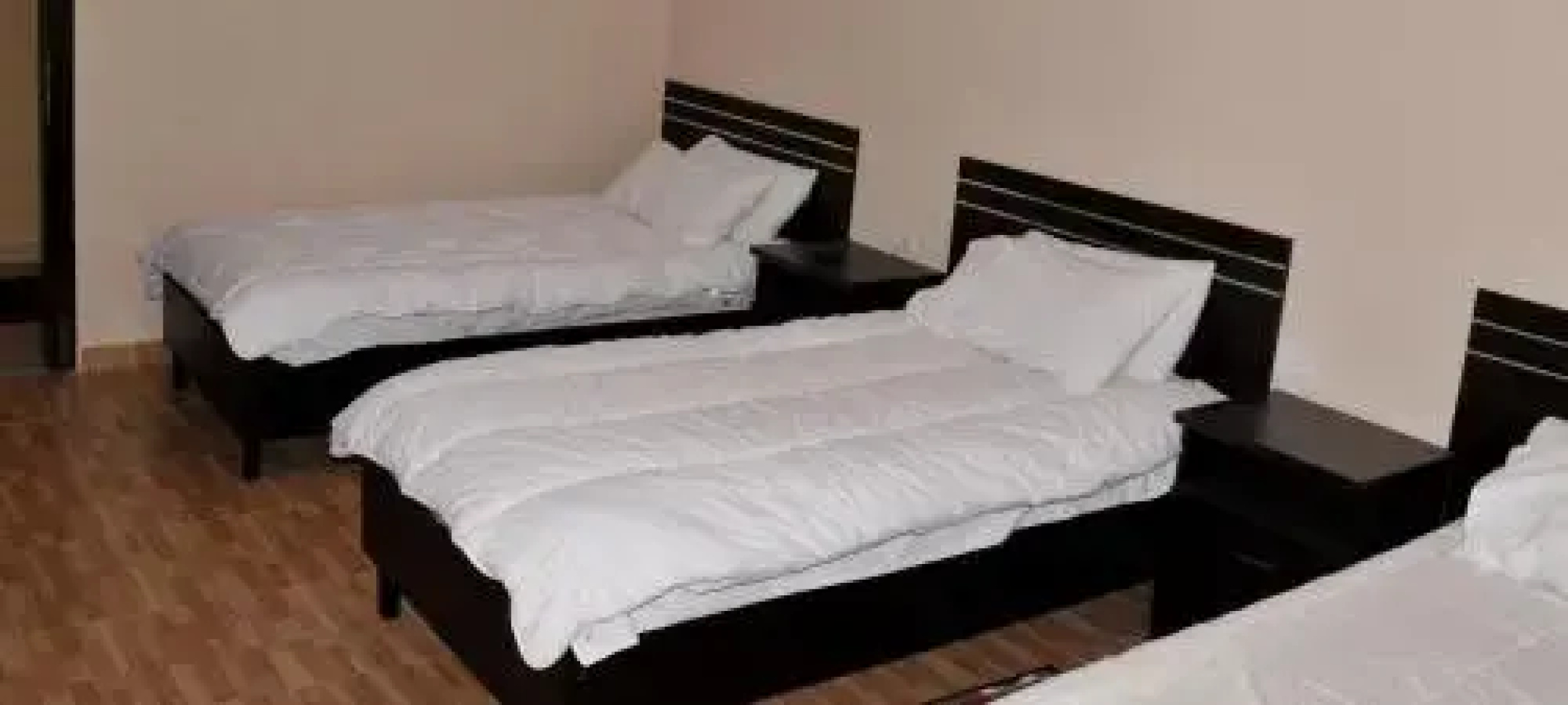 Hotel Lulishte