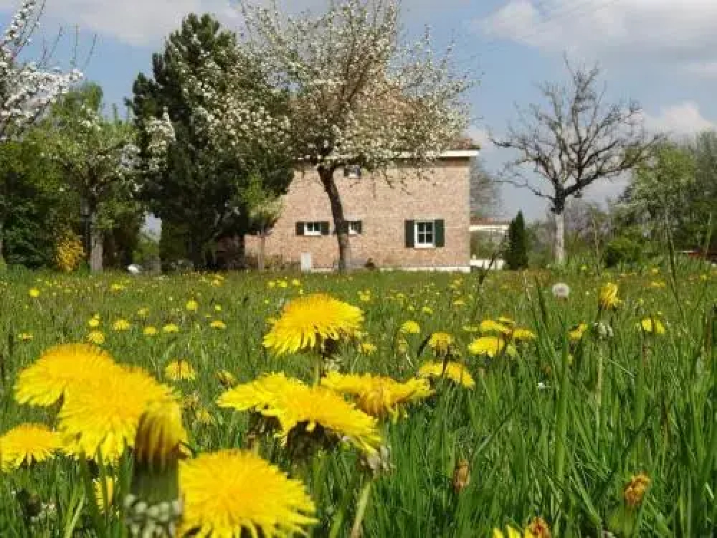 Landhaus Löwenzahn