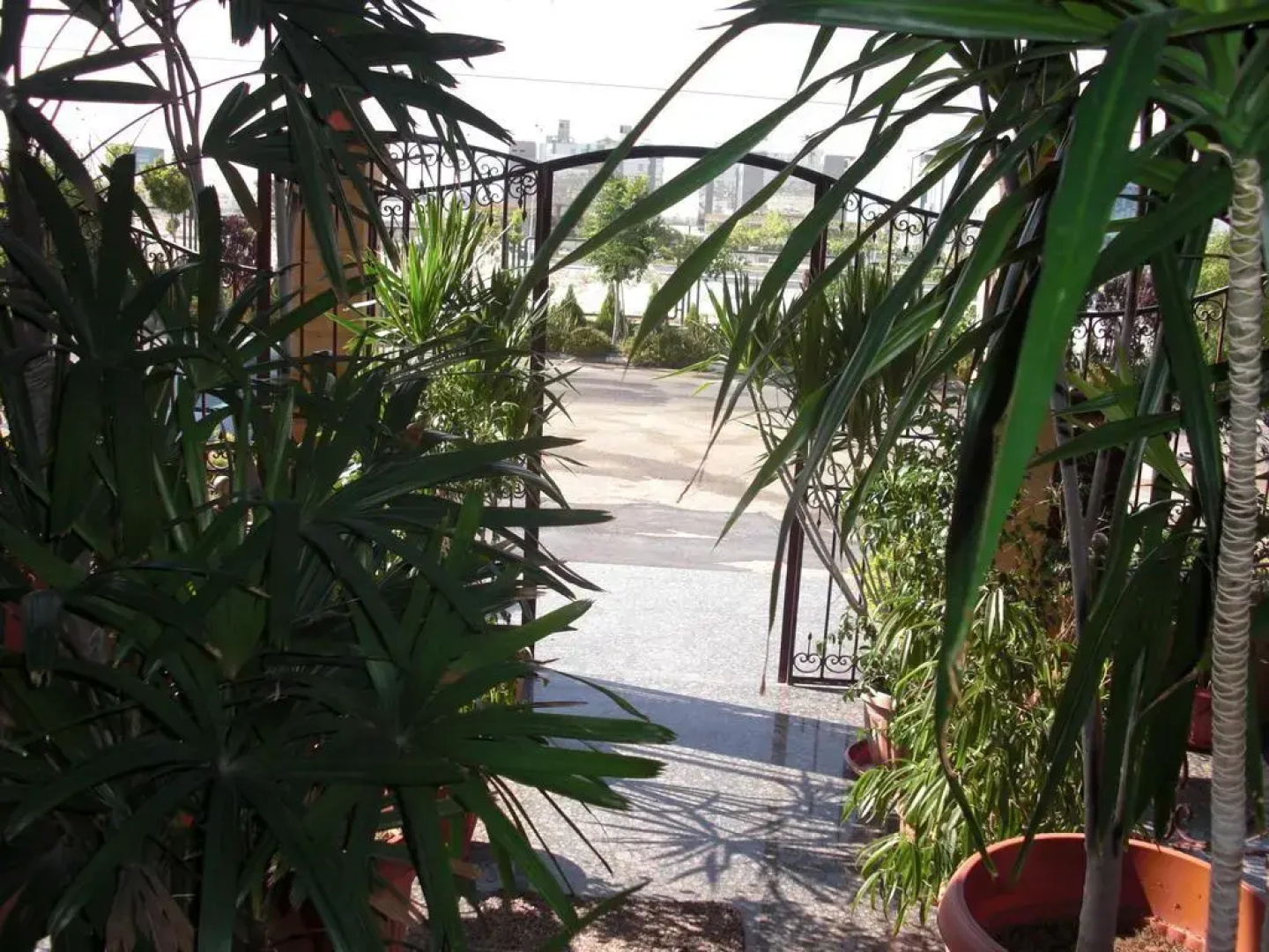 Cairo plaza Guest House