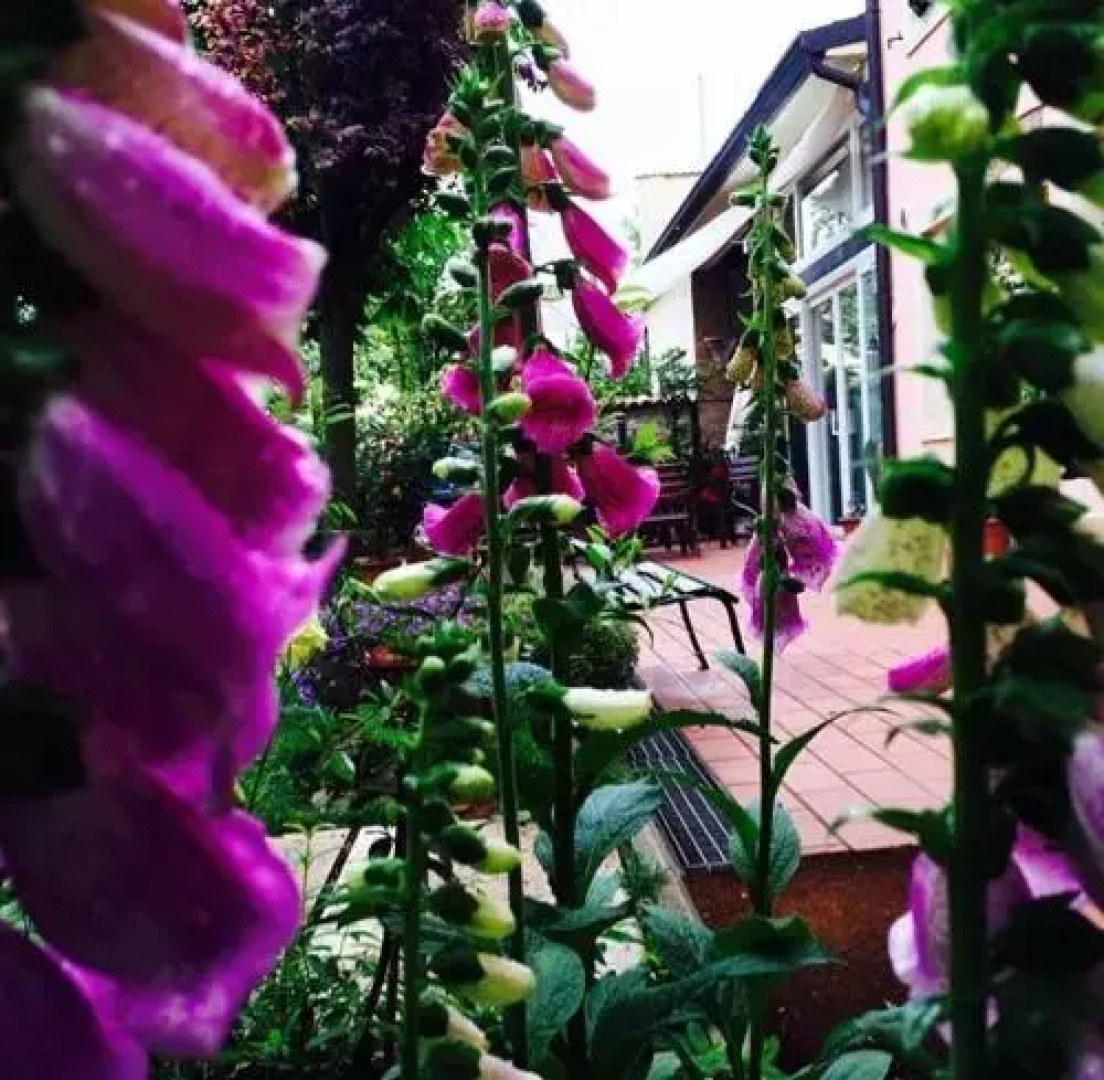 Bed and Breakfast Villa Franca