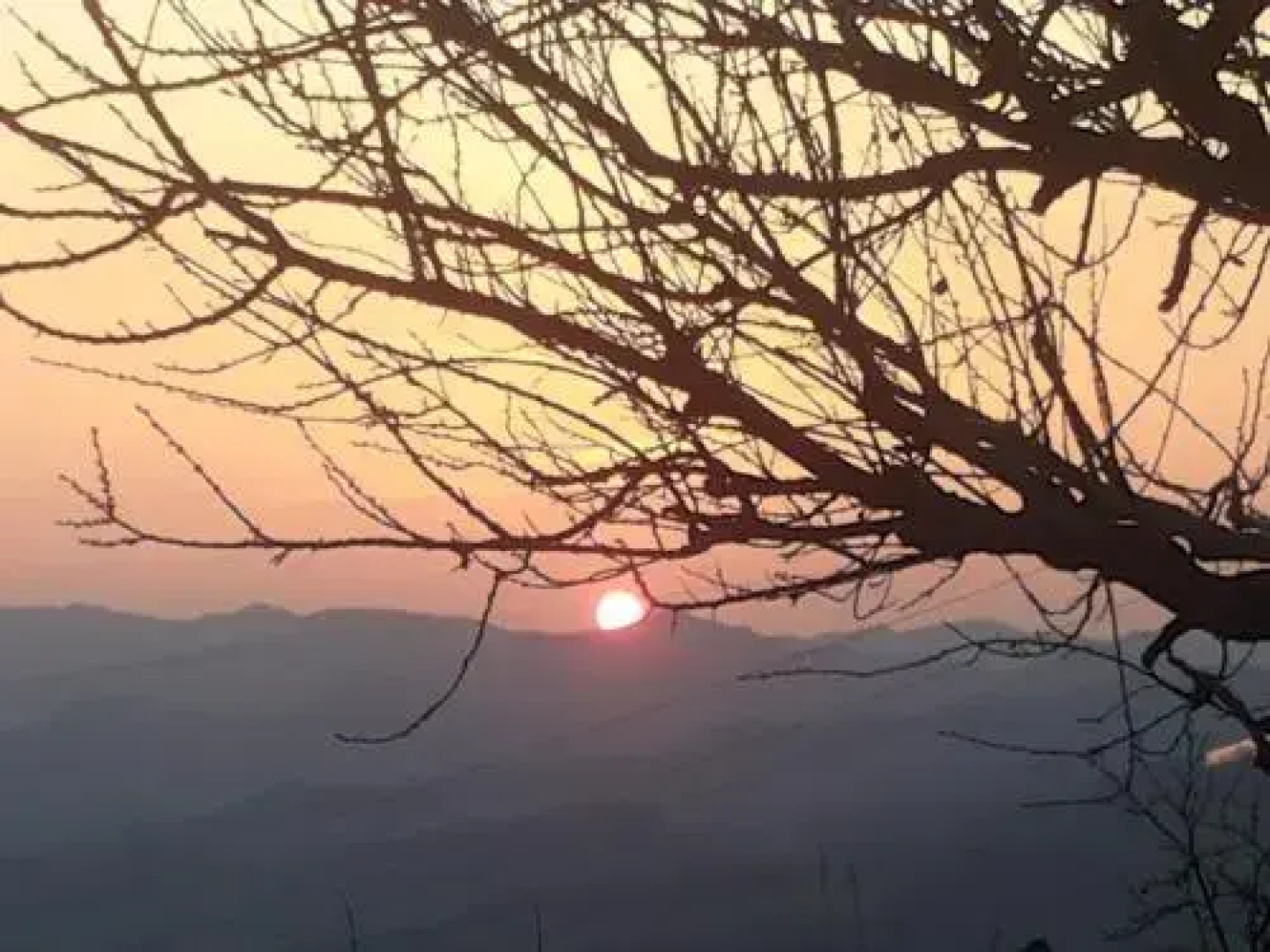 Fra Bosco e Cielo B&B