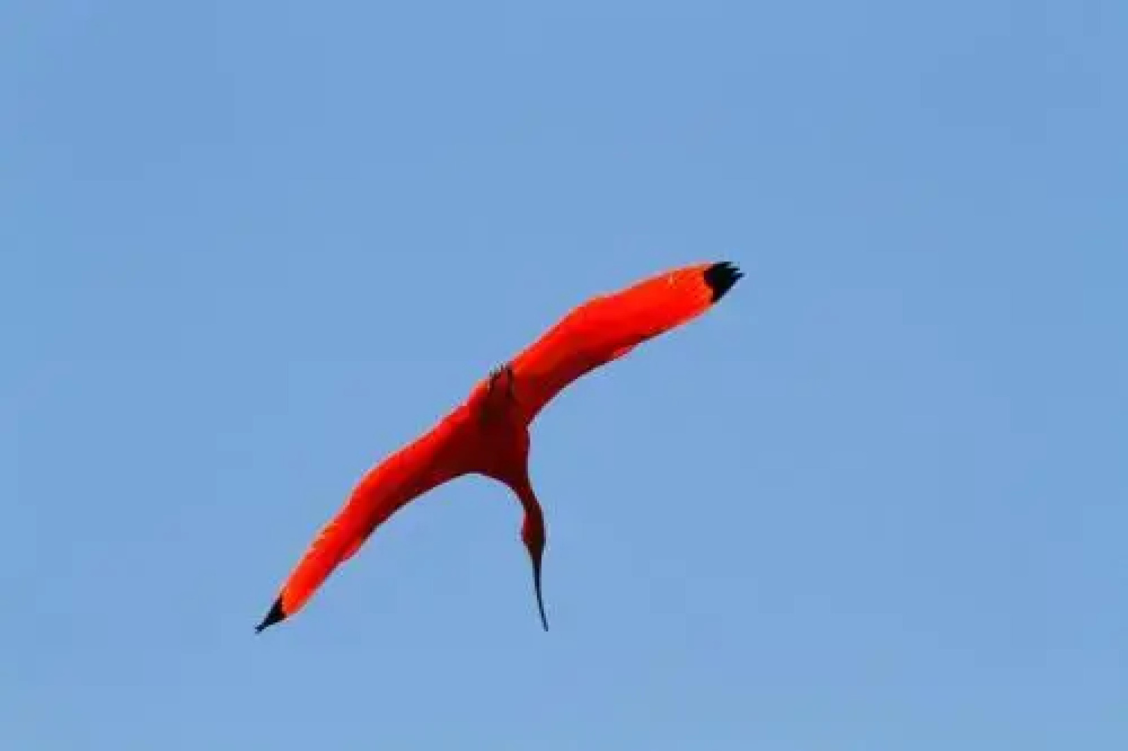 Nossa Senhora do Carmo